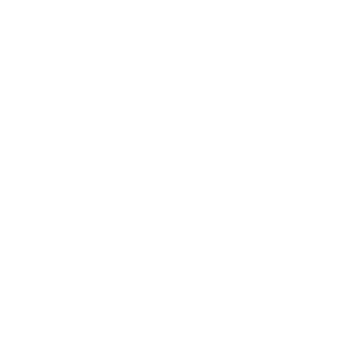 Platinum Package Icon